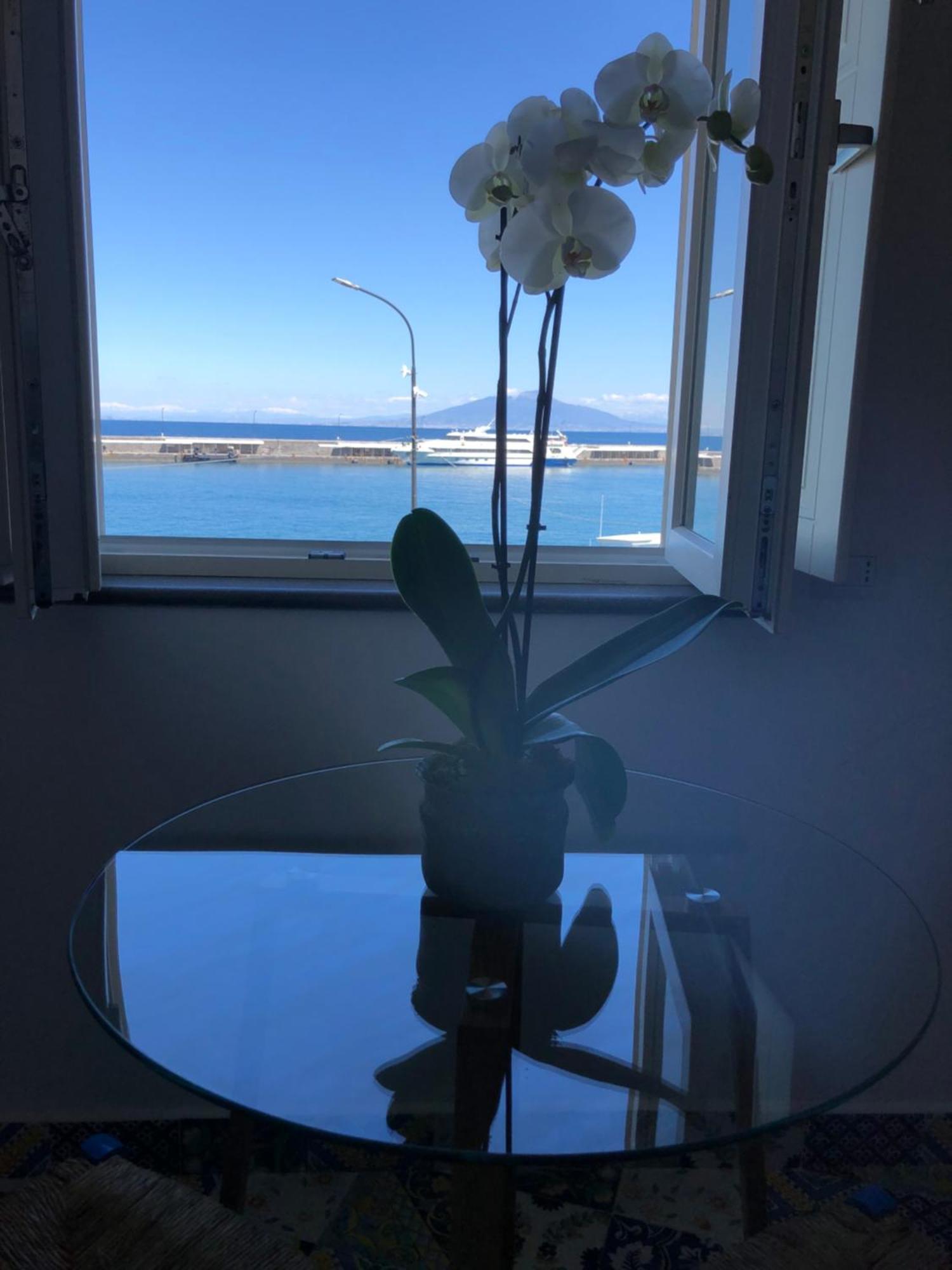 La Baia Di Napoli Apartment Капри Екстериор снимка